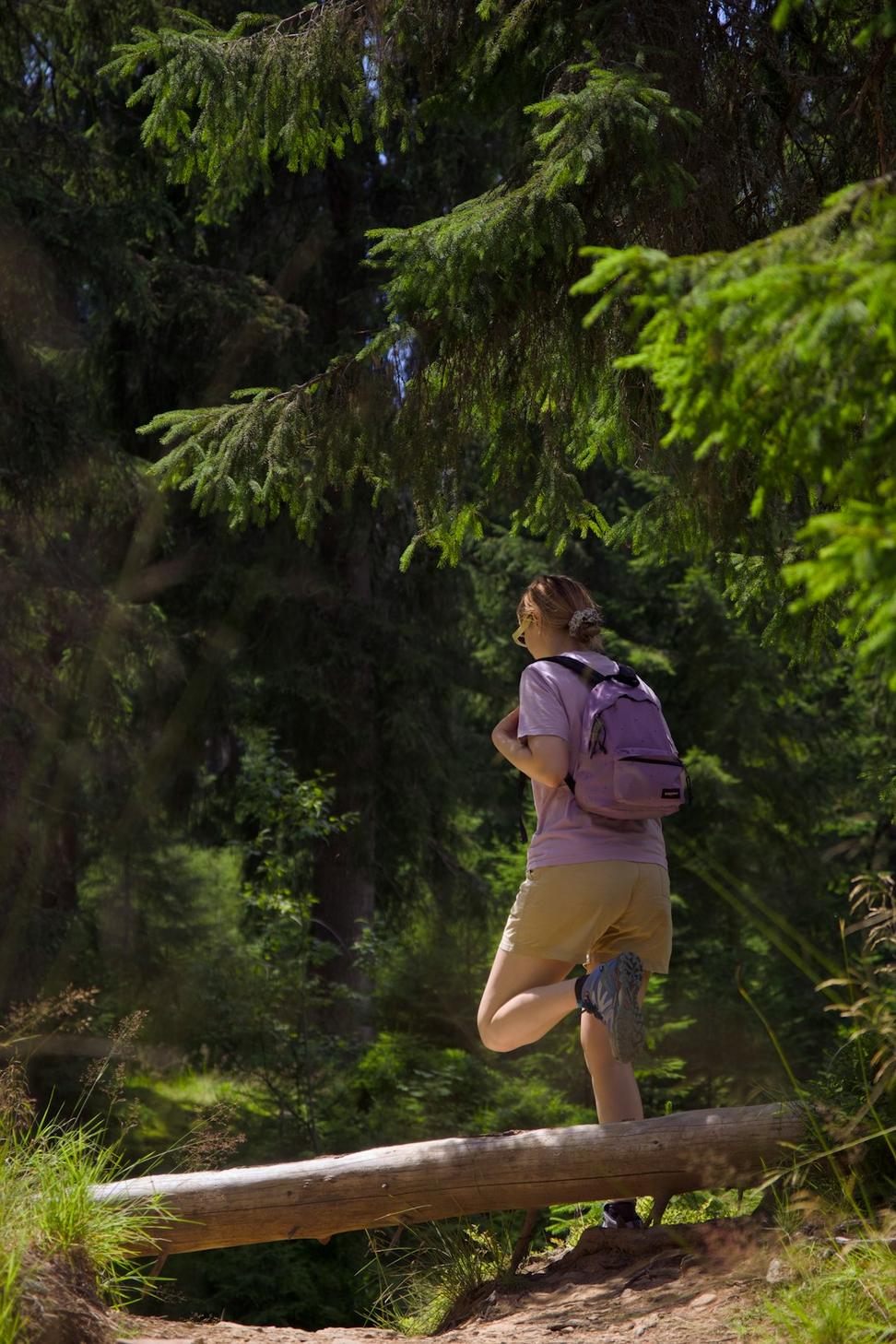 Summer mountain trails